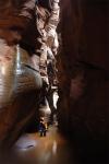 Pine Creek : Oct 2004