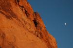 Joshua Tree : Nov 2004