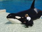 Sea World 2 : Sep 2007