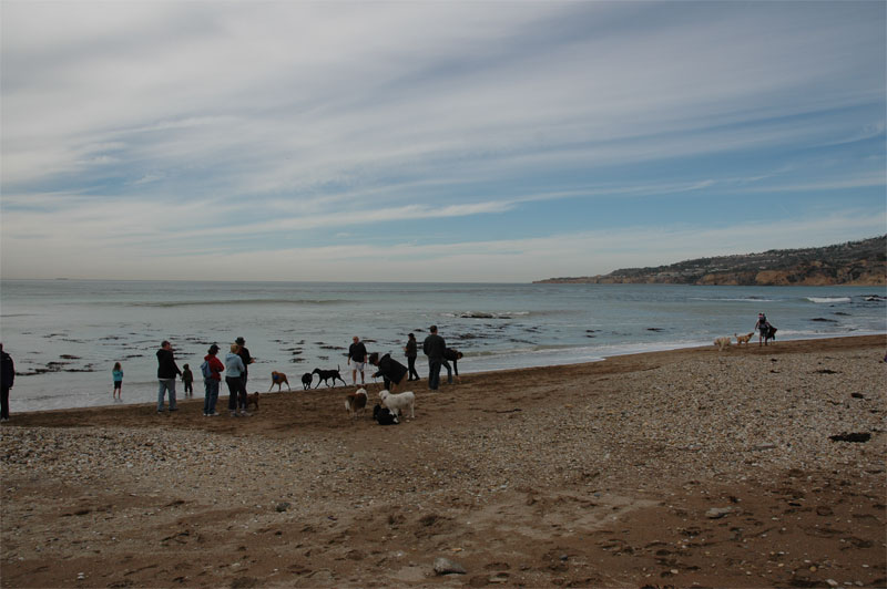 DSC_0263.jpg