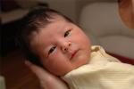 Month One : Jan 2008