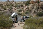 Joshua Tree : May 2008