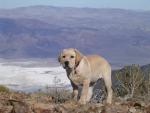 Death Valley : Feb 2004