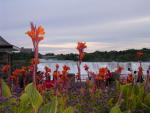 Niagara Falls : Aug 2003