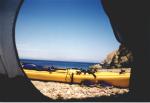 Catalina Island :  Aug 1997