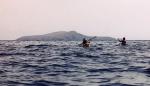 Santa Barbara Island Crossing: May 2002