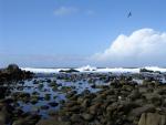 Monterey Bay : Nov 2003