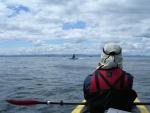 San Juan Island : Jun 2003