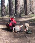 San Gorgonio : Apr 2004