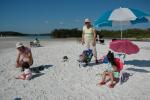 Dog Beach : Dec 2008