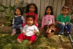 Noah's 4th Birthday : May 2009