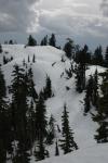 DSC_0053.jpg