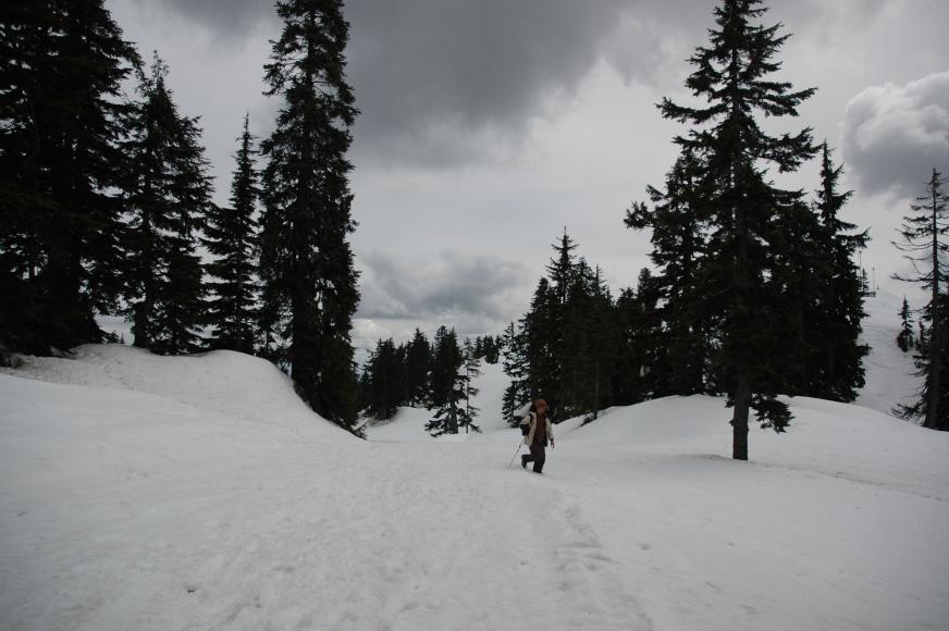 DSC_0011.jpg
