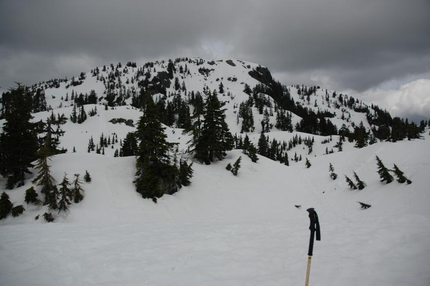 DSC_0013.jpg