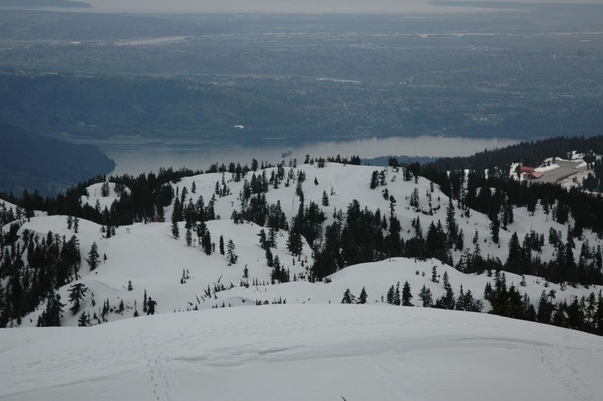 DSC_0039.jpg