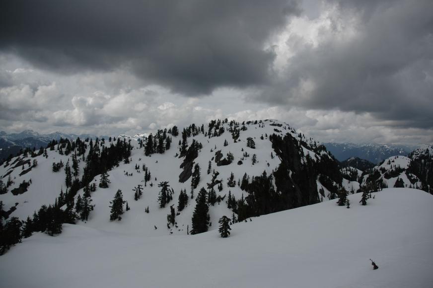 DSC_0042.jpg