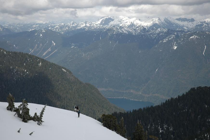 DSC_0043.jpg