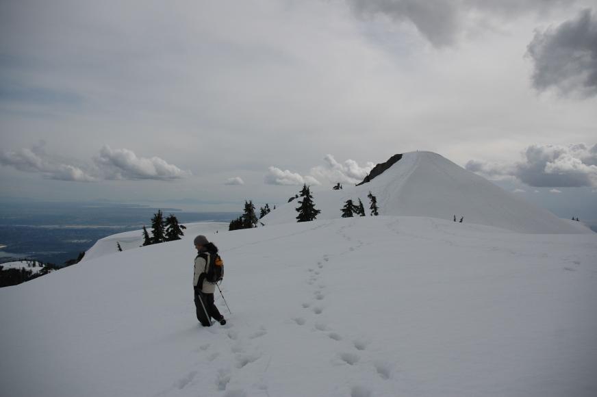 DSC_0048.jpg