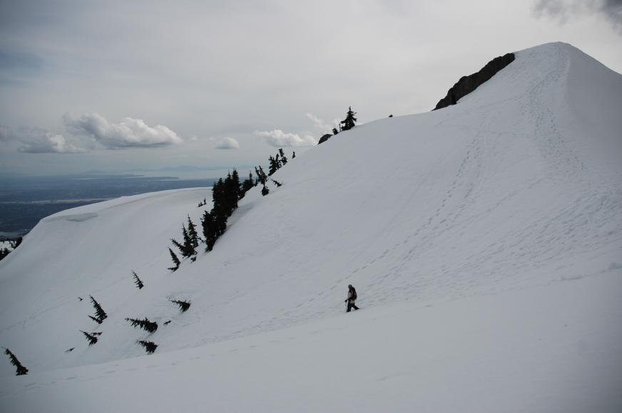 DSC_0049.jpg