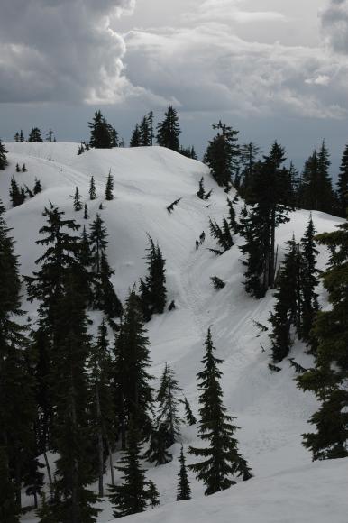 DSC_0053.jpg