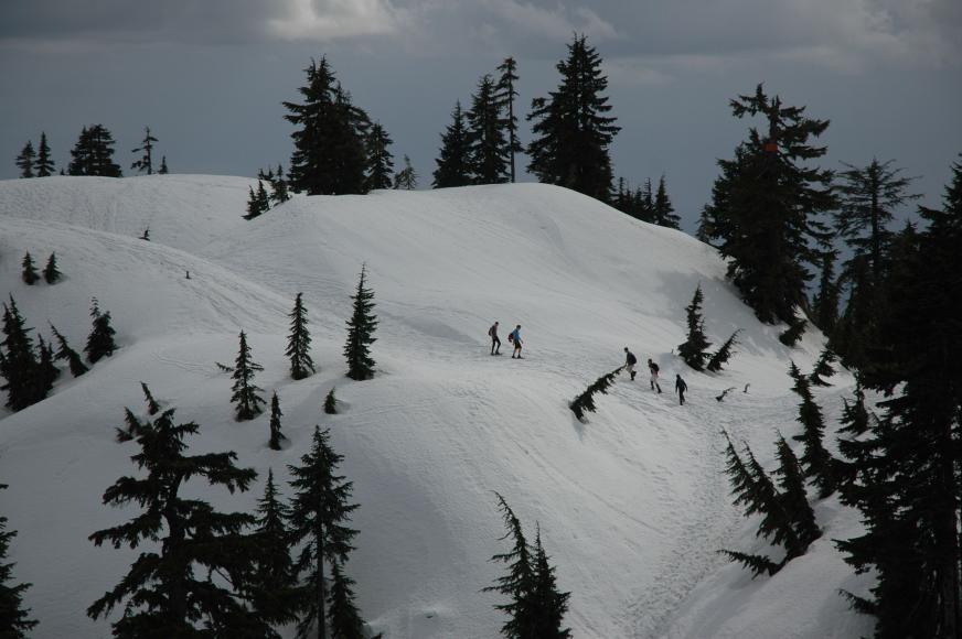 DSC_0054.jpg