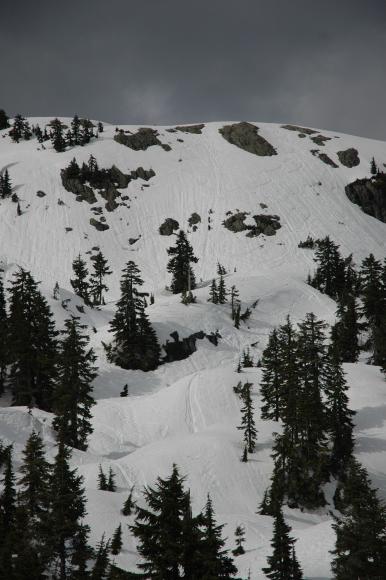 DSC_0056.jpg