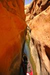 Wetherill Canyon : Aug 2009