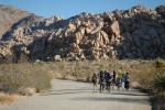 Joshua Tree : Oct 2009