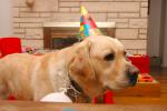 6th Birthday : Nov 2009