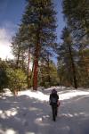 San Gorgonio : Dec 2009