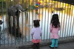 Legoland : Jan 2010