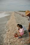 Bowmans Beach : Dec 2009