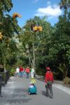 Naples Zoo : Dec 2009
