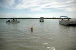 Dog Beach : Dec 2009