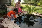 Cape Coral : Dec 2009