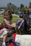 Noah's 5th Birthday : May 2010