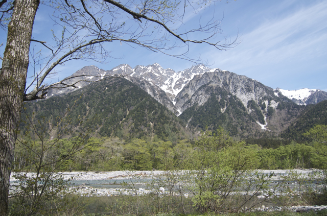 DSC_0056.jpg