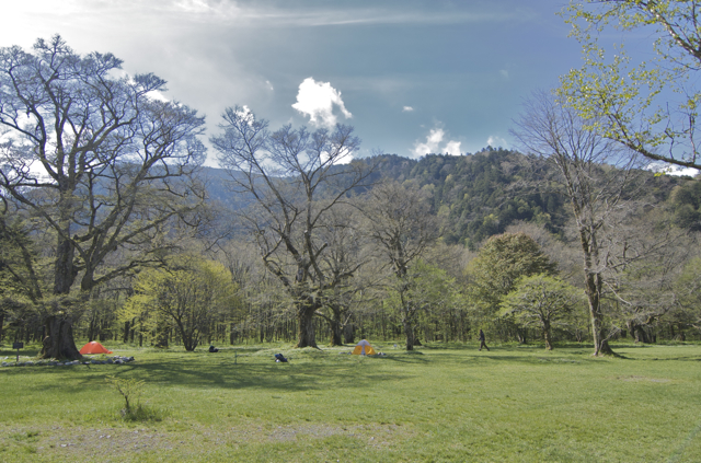 DSC_0057.jpg