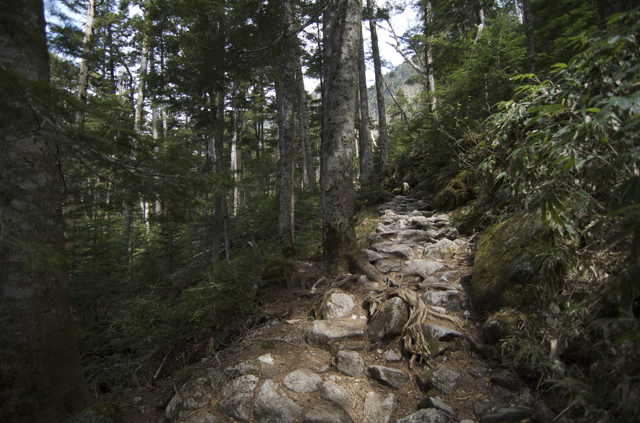 DSC_0063.jpg