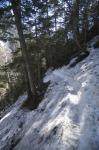 DSC_0095.jpg