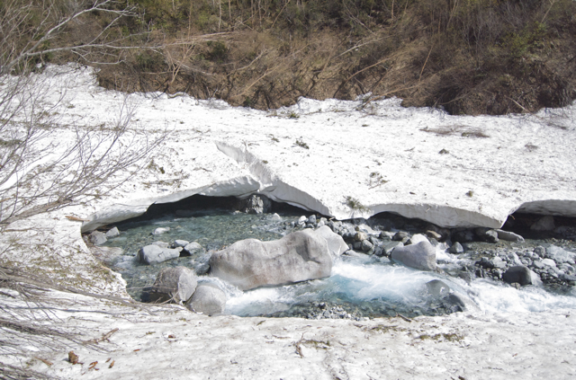 DSC_0096.jpg