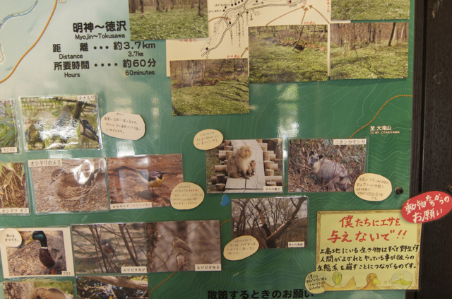DSC_0112.jpg