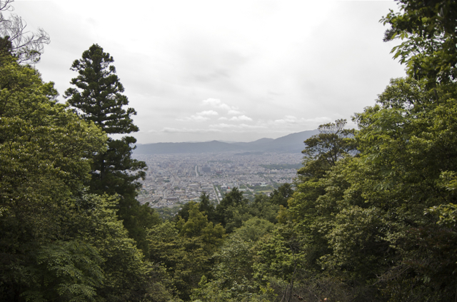 DSC_0036-2.jpg