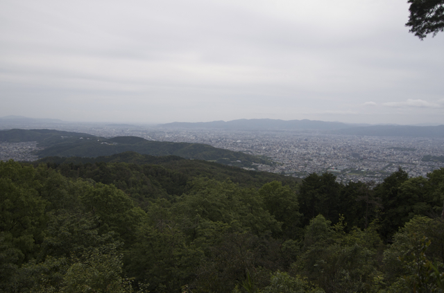 DSC_0044.jpg