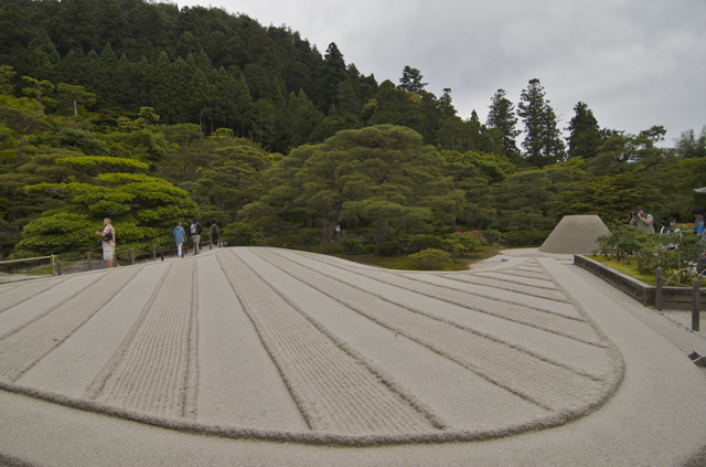 DSC_0068.jpg
