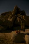 Joshua Tree : Oct 2010