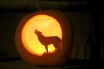 Halloween : Oct 2010