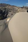 Death Valley South : Jan 2011