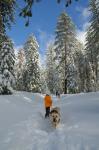 San Gorgonio : Feb 2011