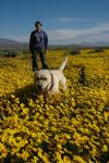 Barstow : Apr 2005